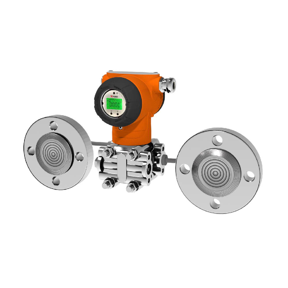 PG-55双法兰差压变送器